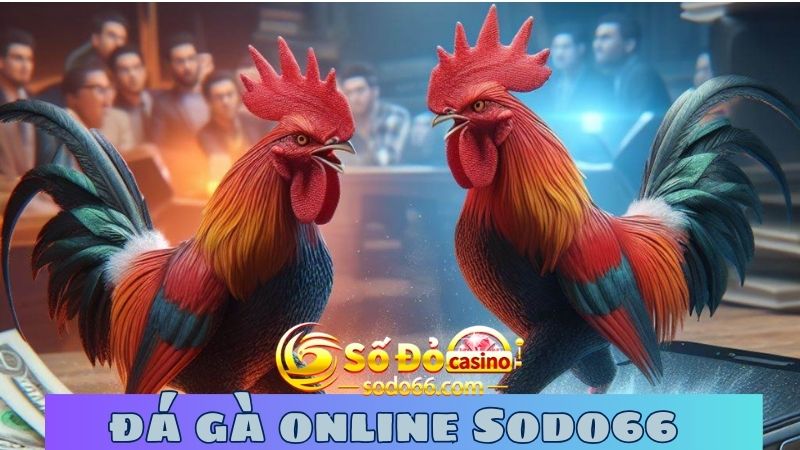 Cách tham gia Đá Gà Sodo66 dễ dàng nhất